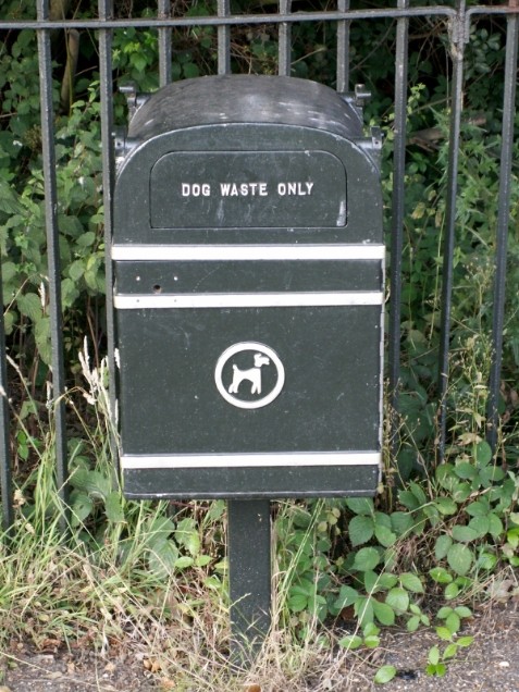 Надпись на ящике гласит: "Только для собачьего помета"