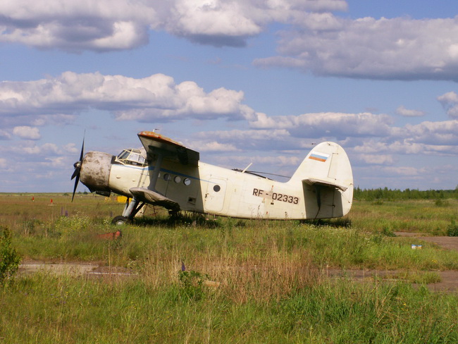 Самолет на старом великолукском аэродроме